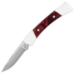 Buck Knives Buck 503 Prince Folding Knife