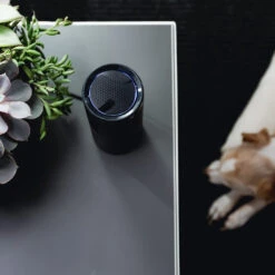 CleanLight Air UV Air Purifier By KeySmart -Peuget Knives Shop KS917 CleanLight Air Purifier in Your Home